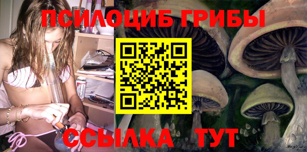 Галлюциногенные грибы Magic Shrooms  где можно купить   Вход с VPN  Удомля  Галлюциногенные грибы Magic Shrooms 